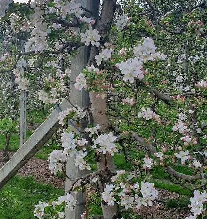 Gasserhof Bed & Breakfast Bolzano