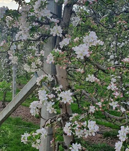 Gasserhof Отель типа 